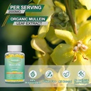 2-pack-mullein-gummies---mullein-leaf-ex-6.jpg