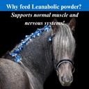 su-per-leanabolic-horse-muscle-supplemen-5.jpg