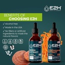 e2h-reishi-cordyceps-extracts---energy-l-4.jpg