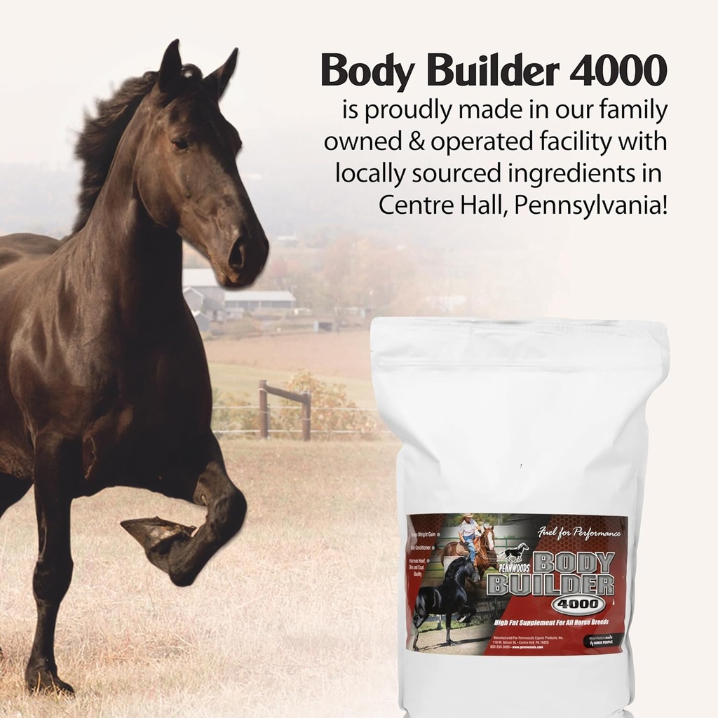 pennwoods-body-builder-4000-horse-weight-5.jpg