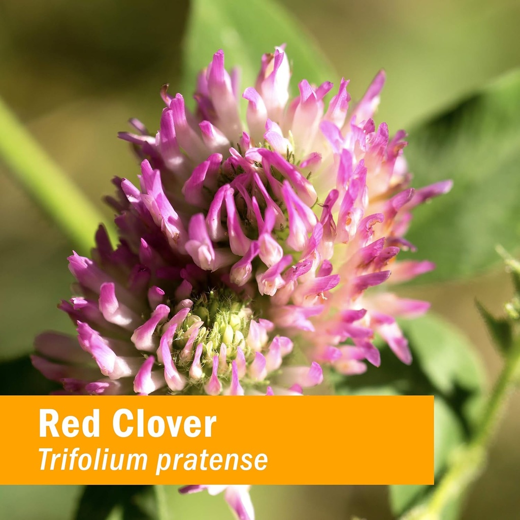 herb-pharm-certified-organic-red-clover--2.jpg
