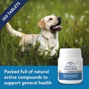 garlic-and-fenugreek-tablets-for-dogs-an-5.jpg