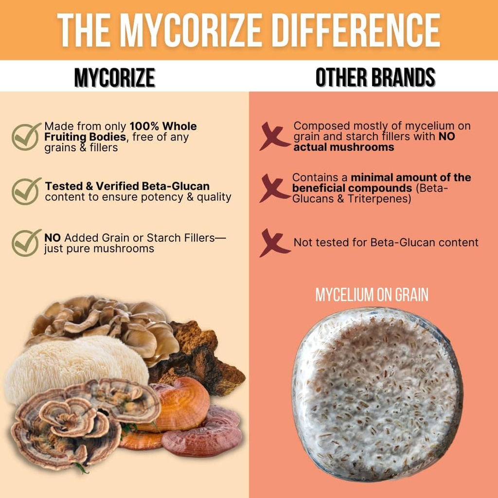 rize-5-mushroom-supplement---lions-mane--5.jpg
