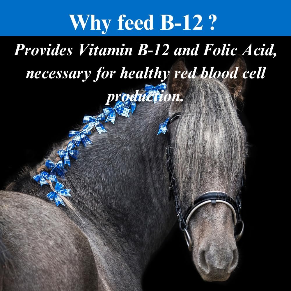 su-per-b-12-energy-horse-supplement---eq-4.jpg