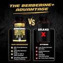 earth-elixir-4-in-1-berberine-supplement-6.jpg