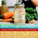 wellness-labsrx-irish-sea-moss-gel-raw---4.jpg