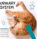 maxxipaws-maxxiutract-urinary-bladder-su-4.jpg