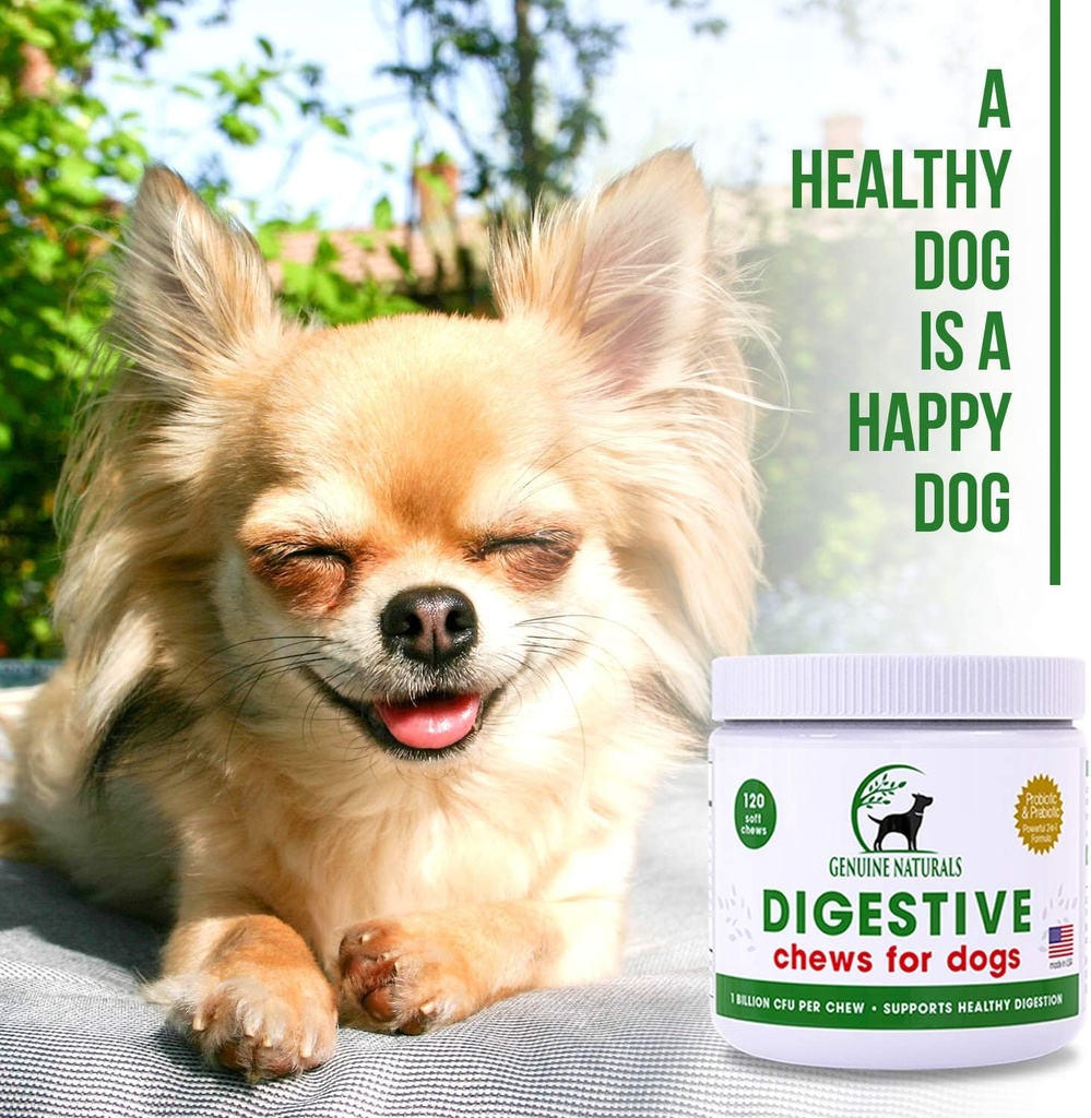 digestive-supplement-for-dogs---recommen-3.jpg