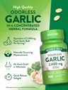 natures-truth-odorless-garlic-softgels-2-5.jpg