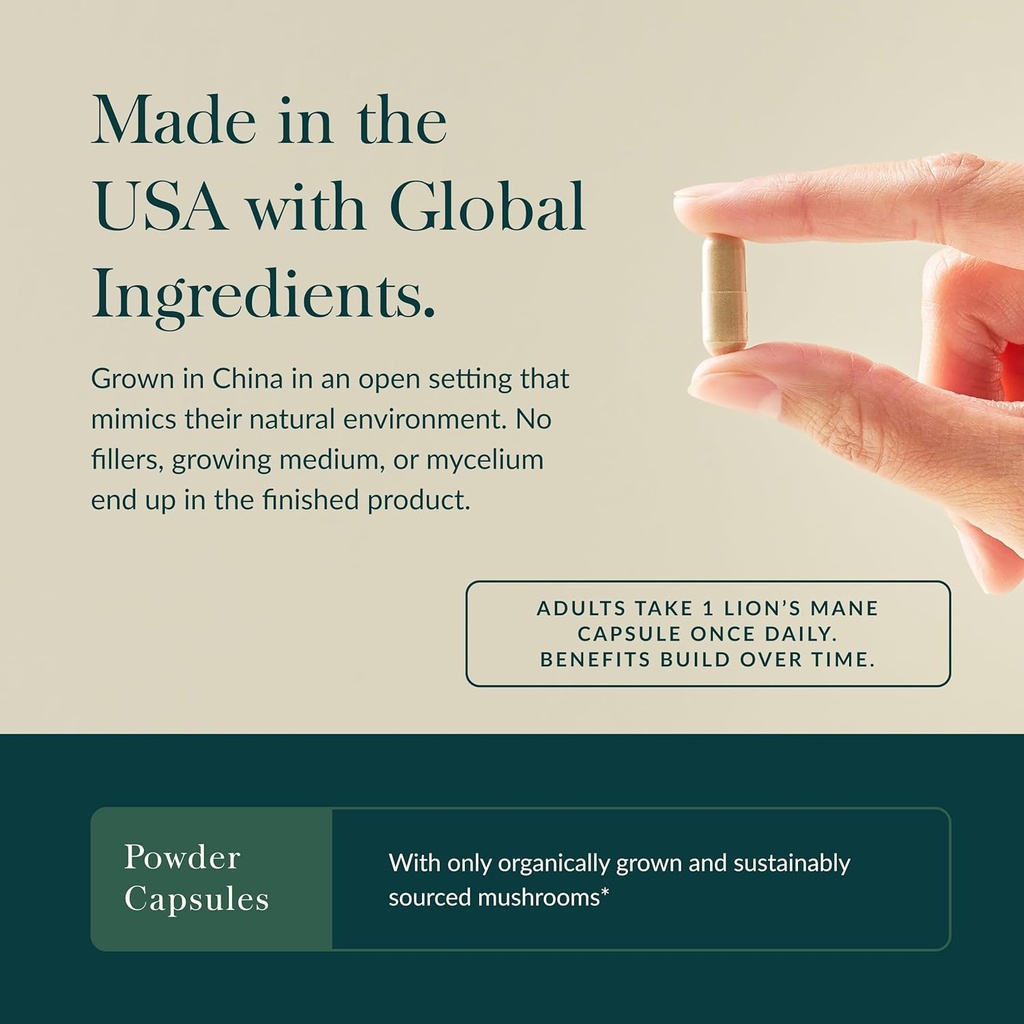 gaia-herbs-lions-mane-mushroom---brain-n-4.jpg