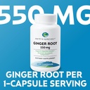 earths-splendor-ginger-root-550-mg-suppl-5.jpg