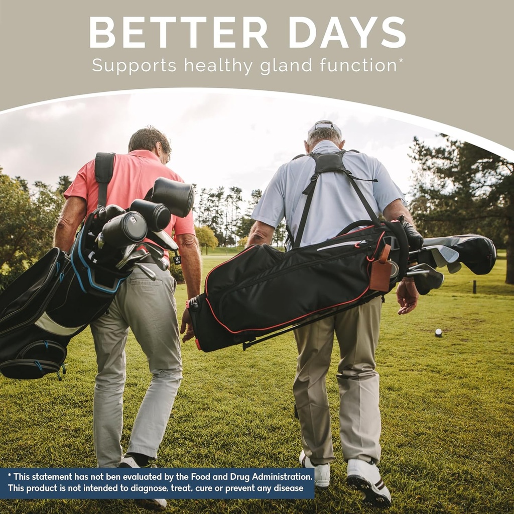 balanced-vibe-prostate-support-supplemen-3.jpg