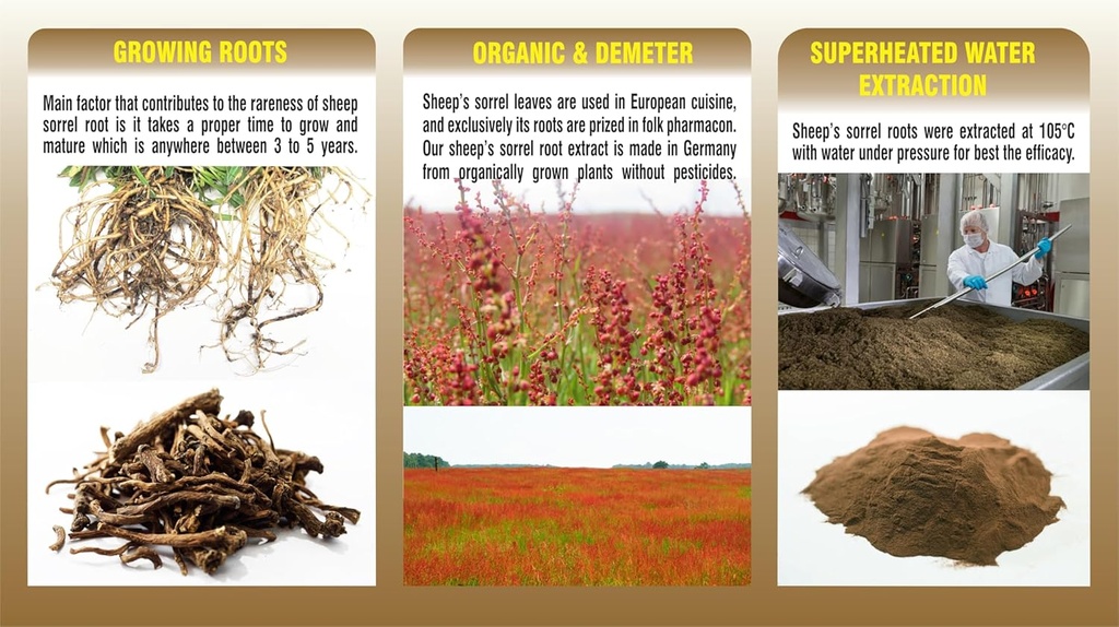 pharmakon-sheep-sorrel-root-extract-very-3.jpg