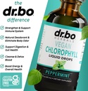 chlorophyll-liquid-drops-body-detox---ve-4.jpg