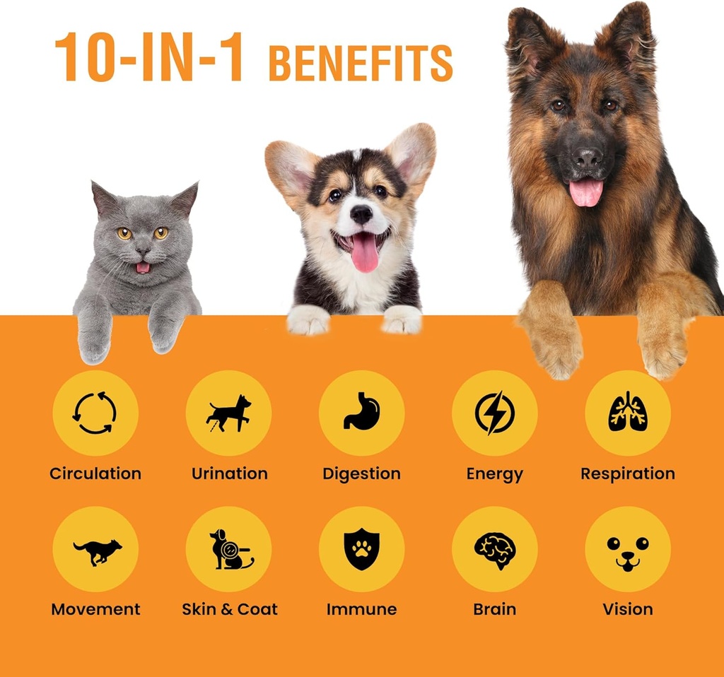 10-in-1-liquid-multivitamin-for-dogs-and-2.jpg