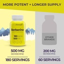 berberine-500mg-hcl-extract-from-berberi-3.jpg