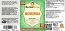 herbal-terra-llc-moringa-moringa-oleifer-2.jpg