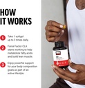 force-factor-cla-supplements-cla-1000-mg-4.jpg