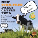 new-country-organics-cattle-feed-for-dai-5.jpg