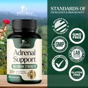 adrenal-support-supplements-cortex-compl-4.jpg