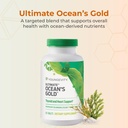 youngevity-ultimate-oceans-gold-supports-2.jpg