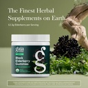 gaia-herbs-black-elderberry-sambucus-nig-2.jpg