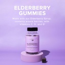 the-elderberry-co-extra-strength-elderbe-2.jpg