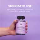 the-elderberry-co-extra-strength-elderbe-4.jpg