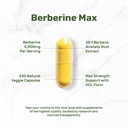 deal-supplement-berberine-max-supplement-3.jpg