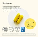 berberine-supplement---berberine-hcl-120-3.jpg