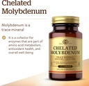 solgar-chelated-molybdenum-100-tablets-3.jpg