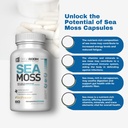 sea-moss-capsules-irish-sea-moss-supplem-3.jpg