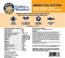 under-the-weather-pet-ready-cal-for-kitt-2.jpg