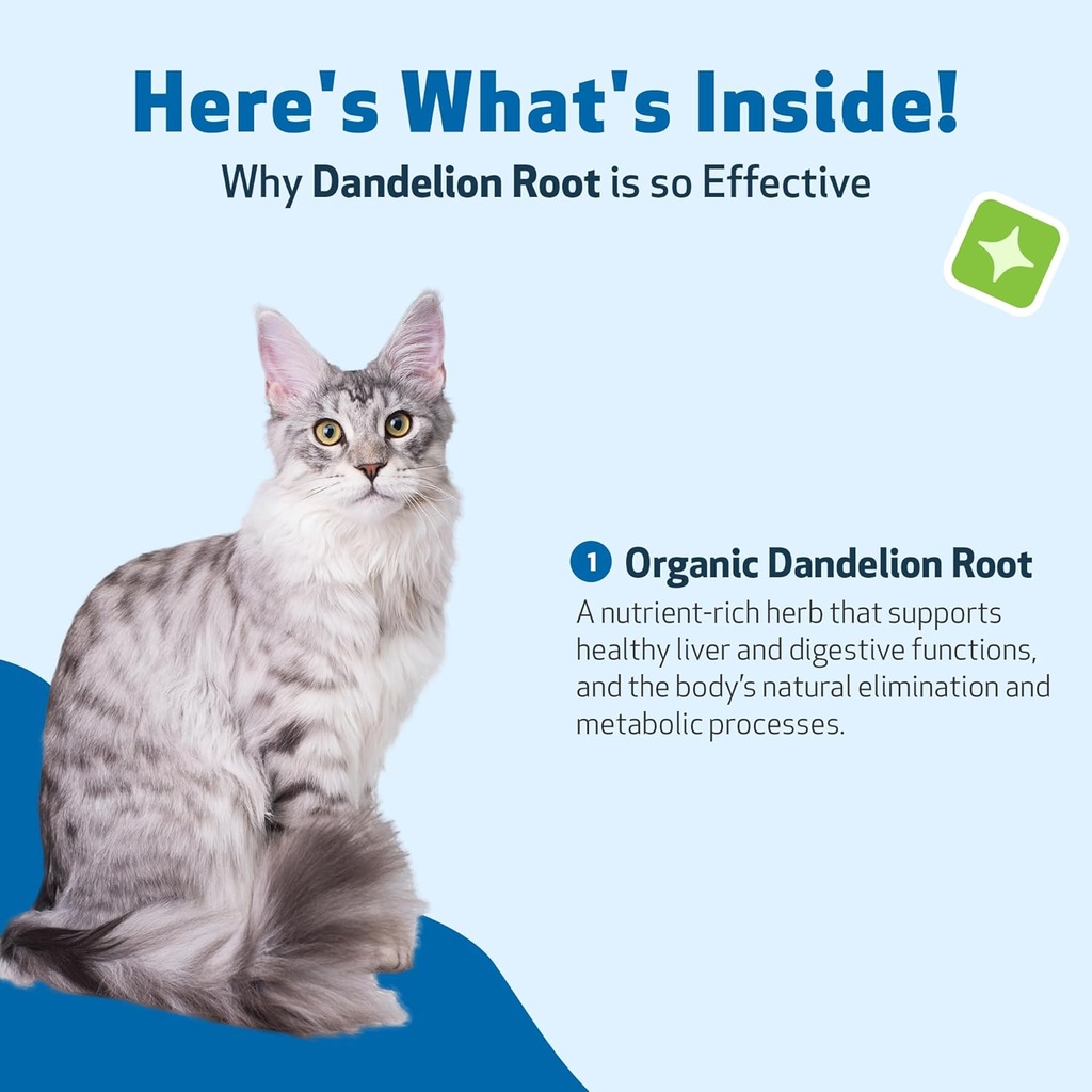 pet-wellbeing-dandelion-root-for-cats----4.jpg