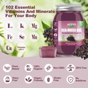 aceyo-18-oz-irish-elderberry-sea-moss-ge-3.jpg