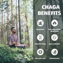 loov-organic-chaga-tincture-50-servings--3.jpg