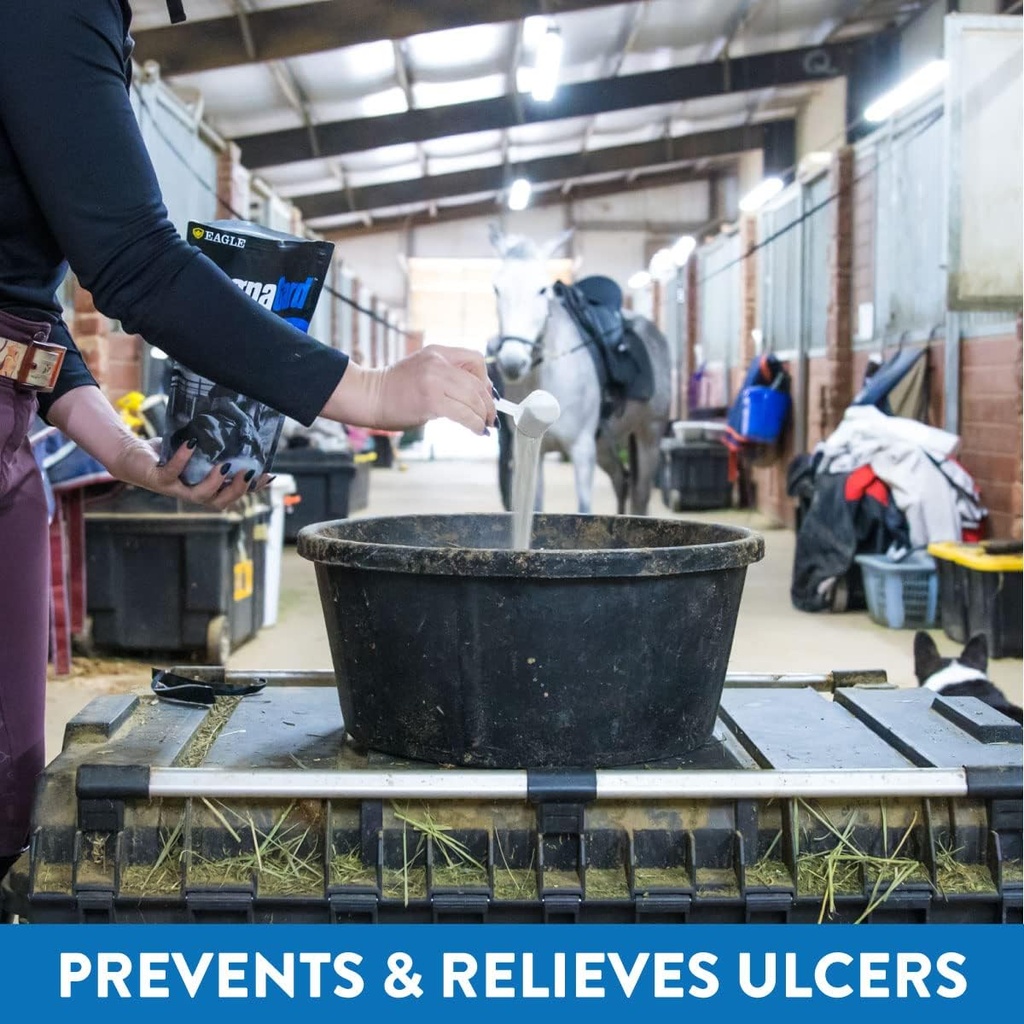 gastric-support-supplement-for-horses-re-3.jpg