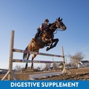 gastric-support-supplement-for-horses-re-5.jpg