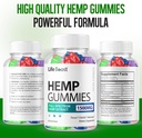 3-pack-life-boost-hemp-gummies-advanced--4.jpg