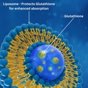 850mg-liposomal-glutathione-supplement-6-3.jpg