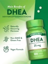 natures-truth-dhea-25mg-tablets-100-coun-5.jpg