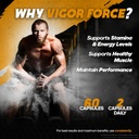 3-pack-vigor-force-for-men-vigor-force-h-5.jpg