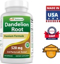 best-naturals-dandelion-root-520-mg-magn-6.jpg