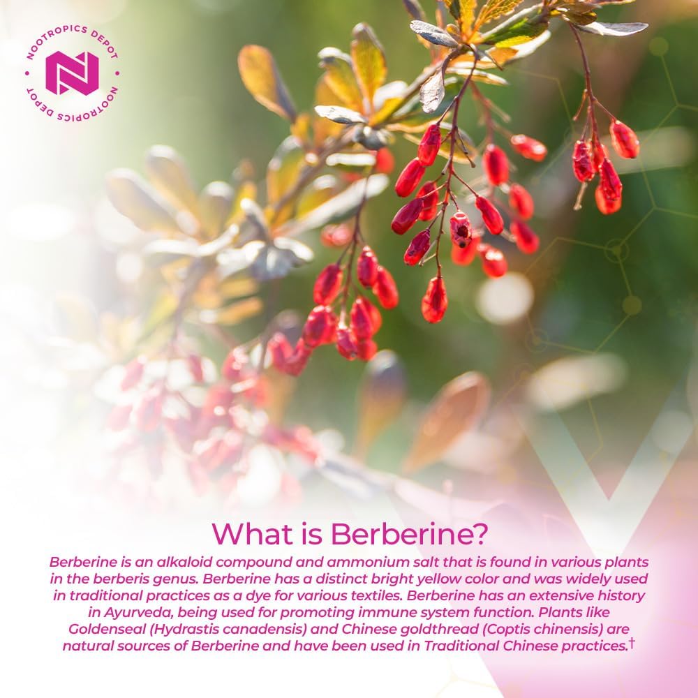 nootropics-depot-berberine-hcl-silymarin-4.jpg
