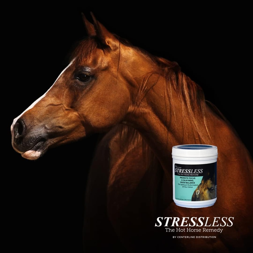 stressless-hot-horse-supplement---60-day-5.jpg