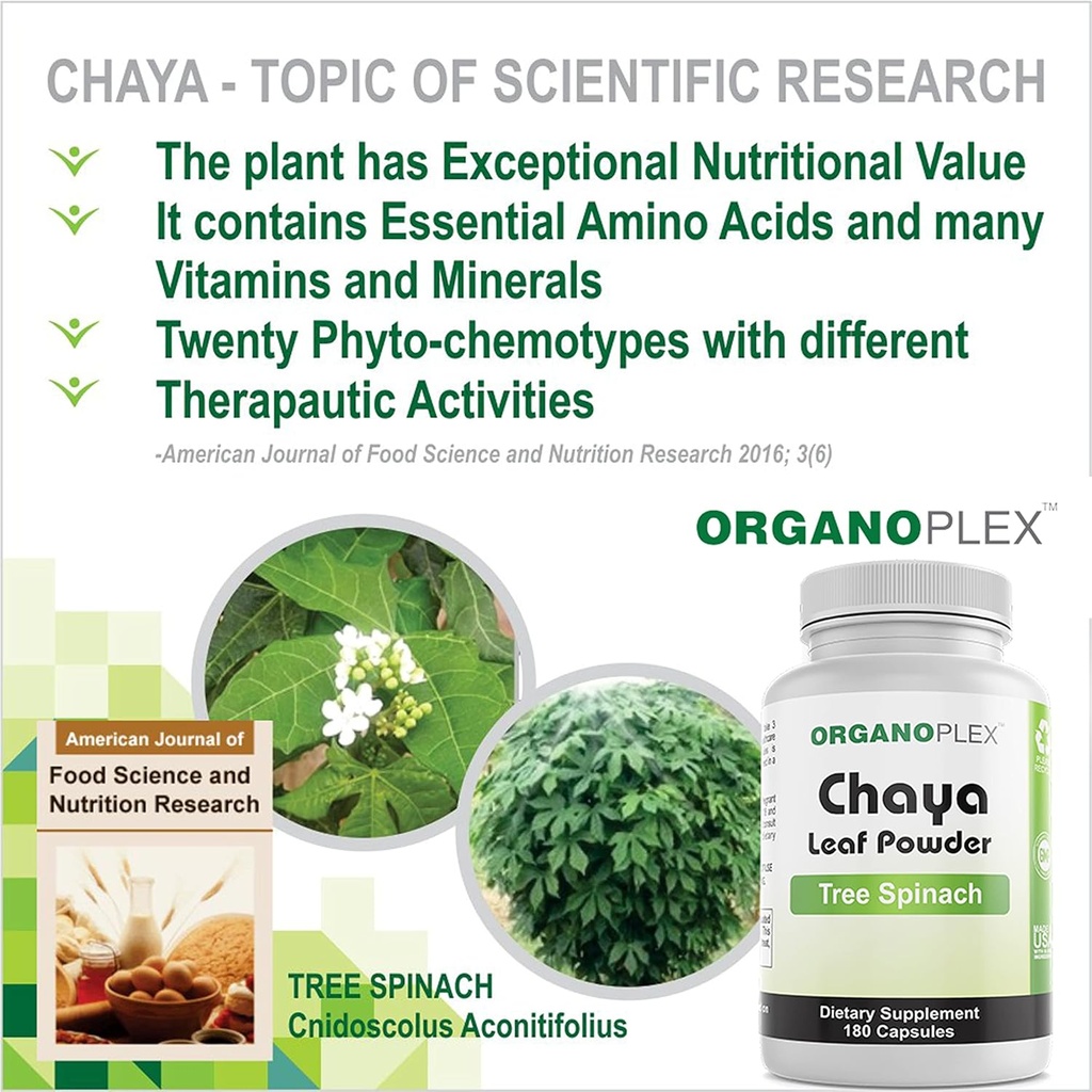 organoplex---chaya-tree-spinach---leaf-p-6.jpg