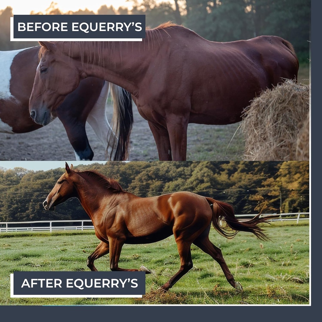 equerrys-combined-rx-4-way-equine-nutrit-6.jpg