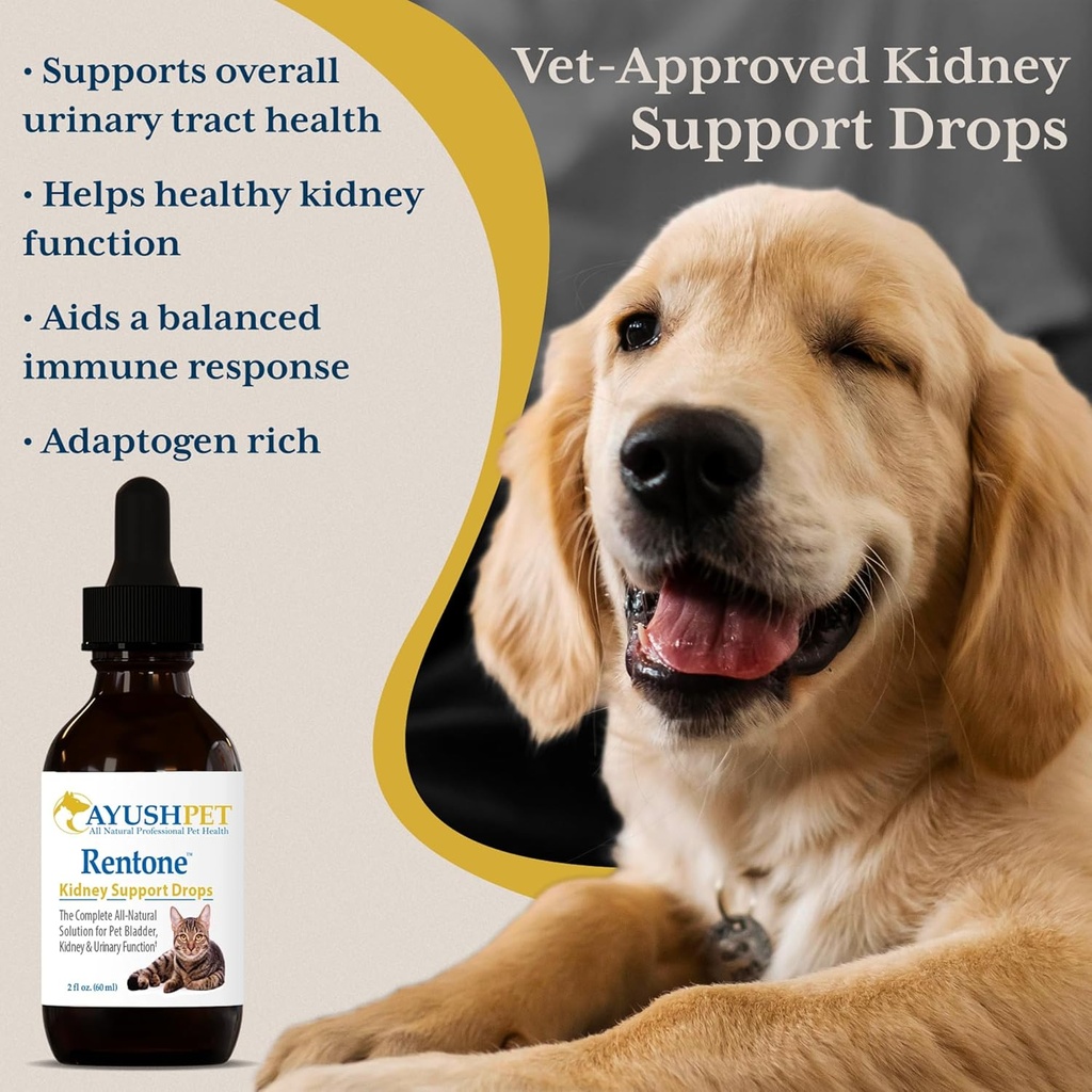 ayush-pet-rentone---kidney-support-for-d-2.jpg