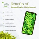 yogis-herbs-keezhanelli-powder-phyllanth-3.jpg