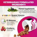 cranberry-bladder-health-for-dogs---dog--2.jpg